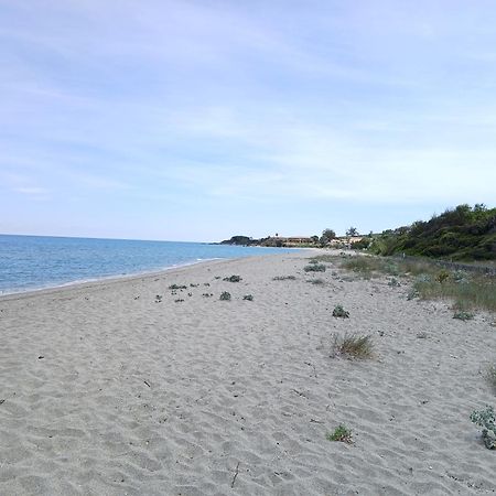 Terres De France - Les Hauts Du Maquis Linguizzetta Eksteriør bilde