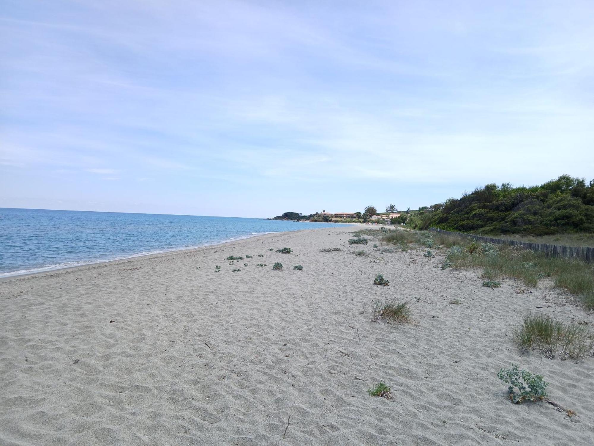 Terres De France - Les Hauts Du Maquis Linguizzetta Eksteriør bilde